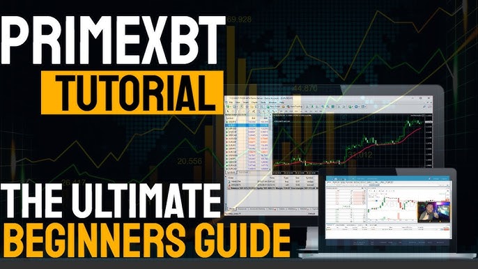 Maximize Your Gains with PrimeXBT Trade in the Cryptocurrency Market